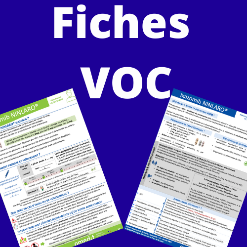 Application Fiches VOC Logo