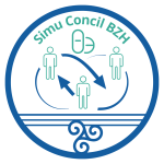 Identité visuelle Simul Concil BZH V1 (3)